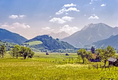 50473_00104-Edit.jpg