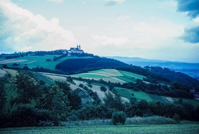 50473_00311.jpg