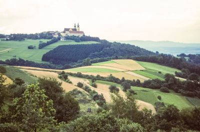 50473_00316.jpg