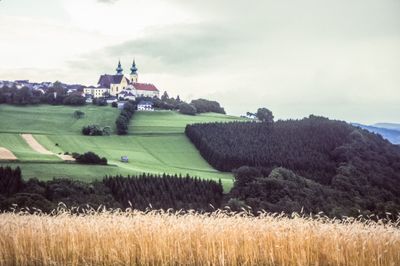 50473_00404.jpg