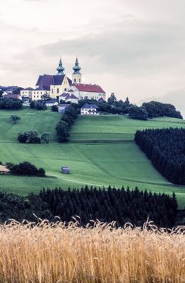 50473_00410.jpg