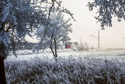 50477_00104-Edit.jpg