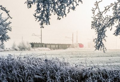 50477_00105-Edit.jpg