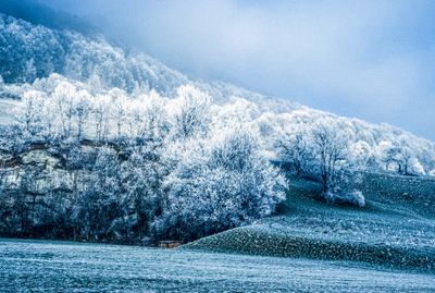 50477_00112.jpg