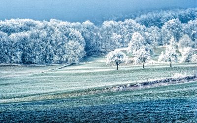 50477_00113-Edit.jpg