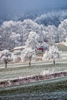 50477_00114-Edit.jpg
