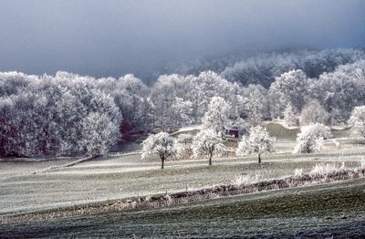 50477_00115-Edit.jpg