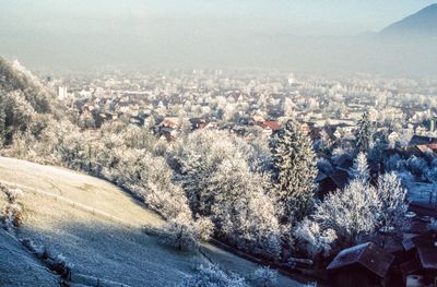 50477_00219.jpg