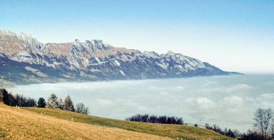 50477_00301_2_3.jpg