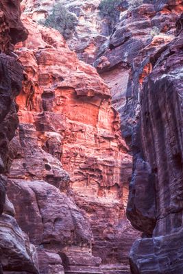 Red Rocks of Petra