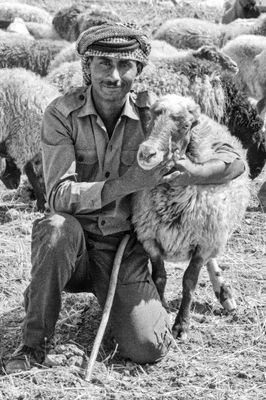 Shepherd