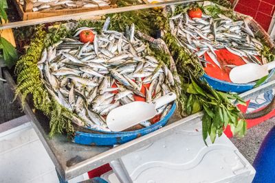 Fish Marketq