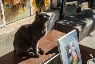 The Critic