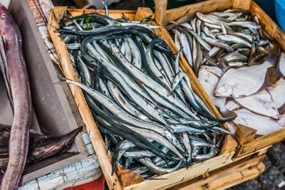 Fish Market