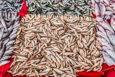 Fish Market