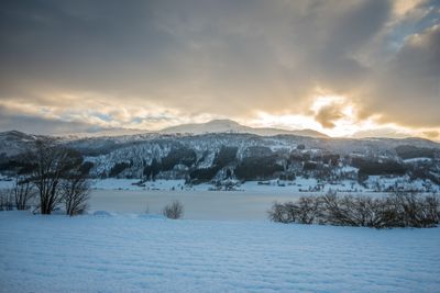 180126_0406.jpg