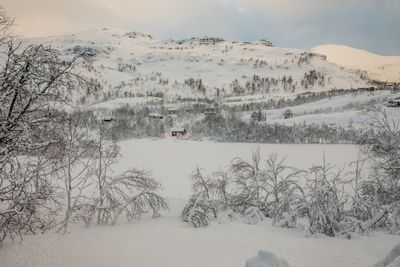 180126_0633.jpg