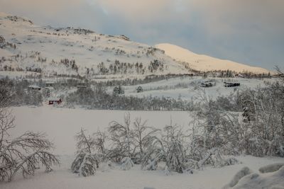 180126_0634.jpg