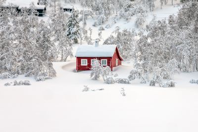 180126_0636-Edit.jpg