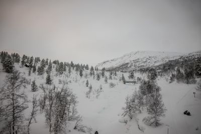 g13/04/318004/3/175778760.2eebc962.JPEG