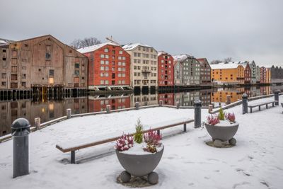 180129_1030.jpg