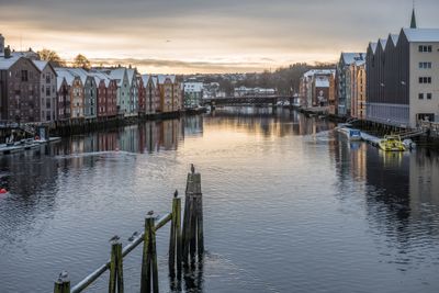 180129_1051.jpg