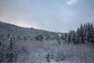 180130_1116.jpg