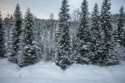 180130_1117.jpg