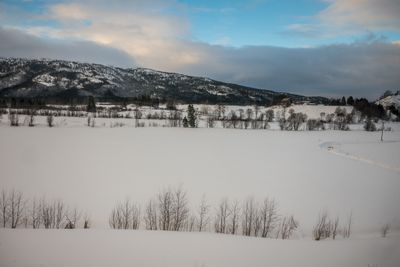 180130_1118.jpg