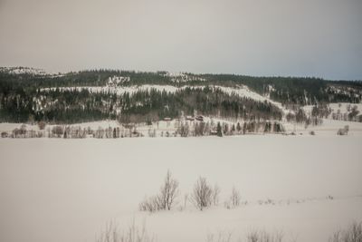 g13/04/318004/3/175779001.c4be3265.JPEG