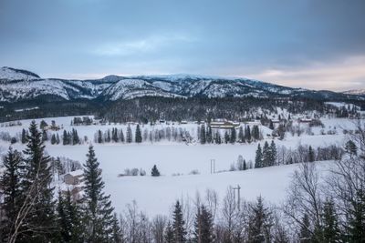 180130_1140.jpg