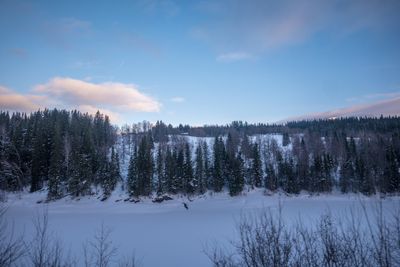 180130_1144.jpg