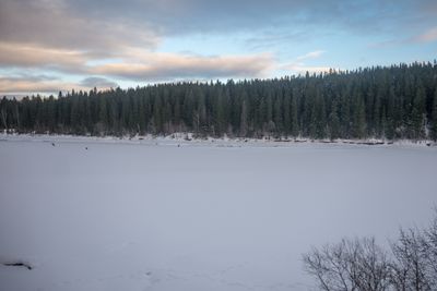 180130_1153.jpg