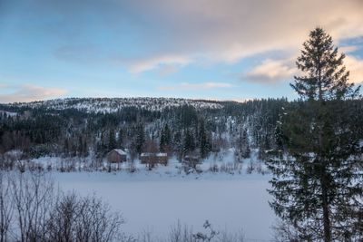180130_1156.jpg