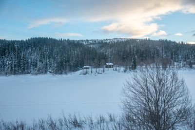 180130_1157.jpg