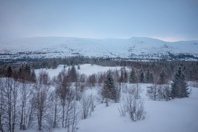 180130_1178.jpg