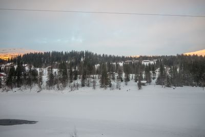 g13/04/318004/3/175779046.8315c449.JPEG