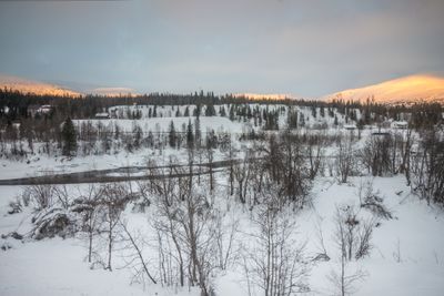 g13/04/318004/3/175779049.2d52a973.JPEG