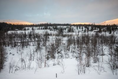180130_1230.jpg