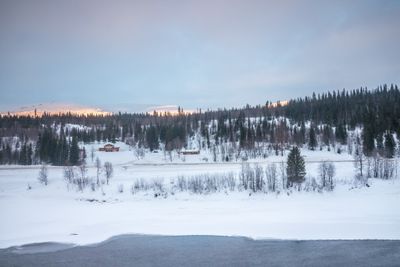 180130_1233.jpg