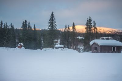 180130_1234.jpg