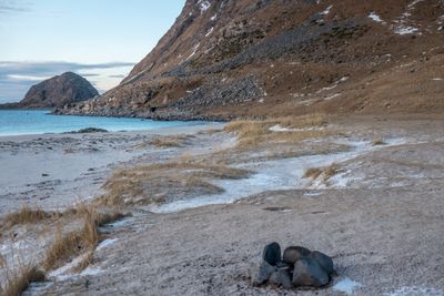 180201_1616.jpg