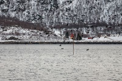 180203_2500.jpg