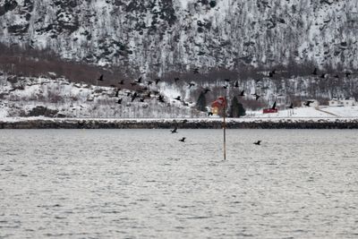 180203_2501.jpg
