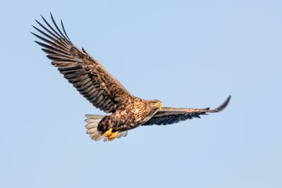 180203_2557-Edit.jpg