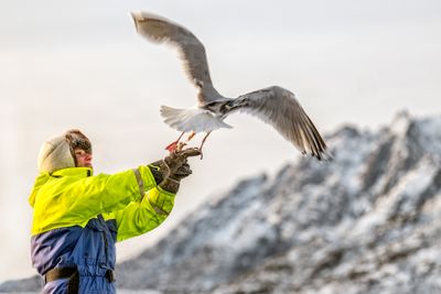 180203_2729-Edit.jpg