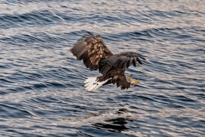180203_2752-Edit.jpg