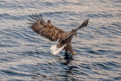 180203_2753-Edit.jpg
