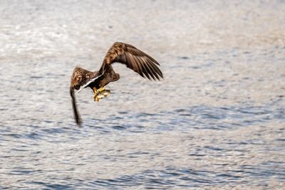 180203_2756-Edit.jpg