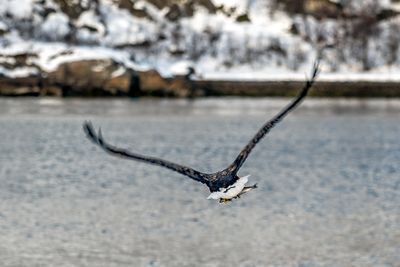180203_2761-Edit.jpg
